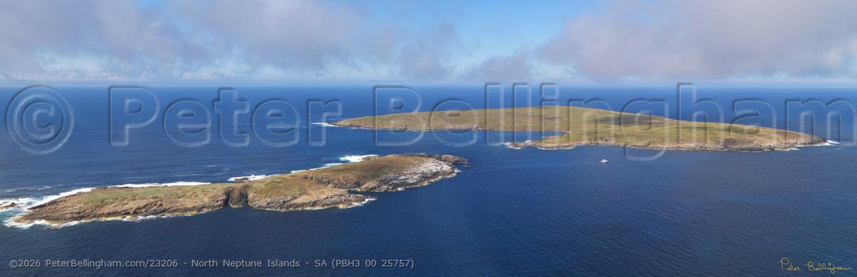 Peter Bellingham Photography North Neptune Islands - SA (PBH3 00 25757)